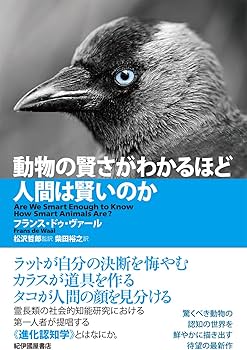 わかる人にはわかる芸術 846人目』117枚もの絵をつかって「時間」と「重なり」を表現